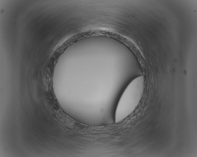 X0000081590871200701151023