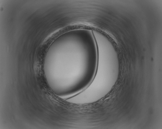 X0000081590872200701151023