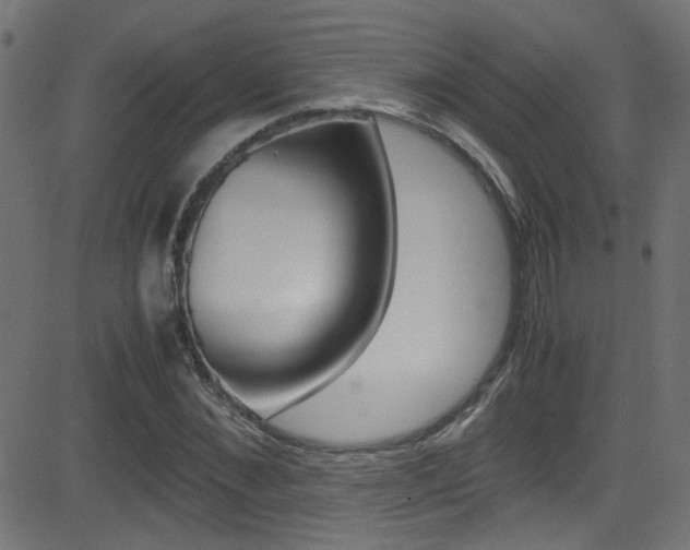 X0000081590876200701151023