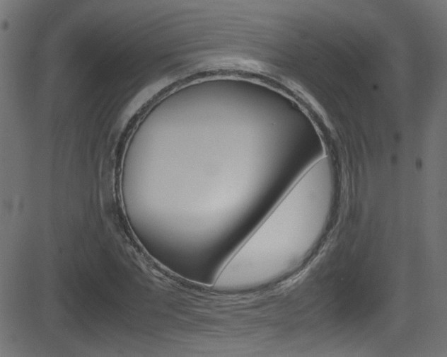 X0000081590877200701151023
