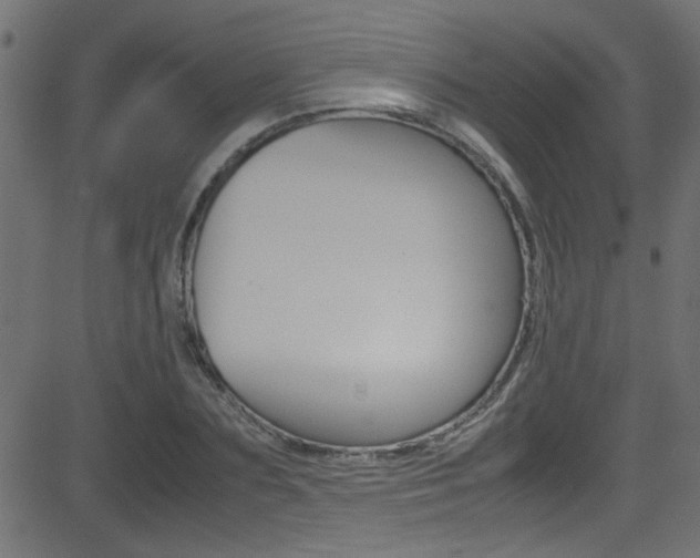 X0000081590883200701151023