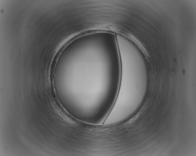 X0000081590884200701151023