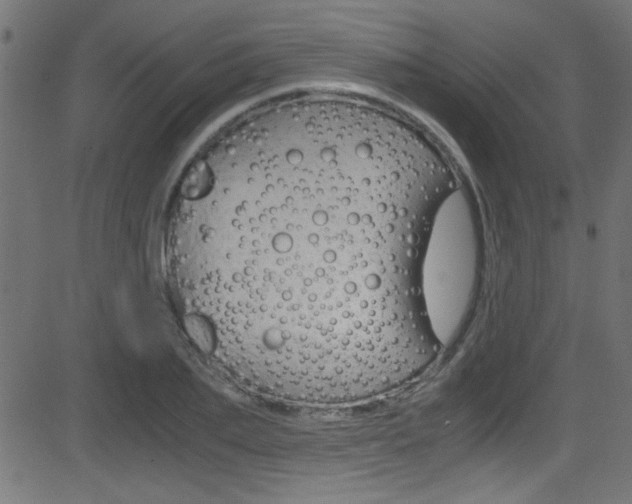 X0000081590887200701151023