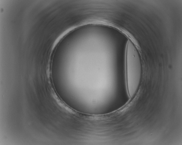 X0000081590904200701151023