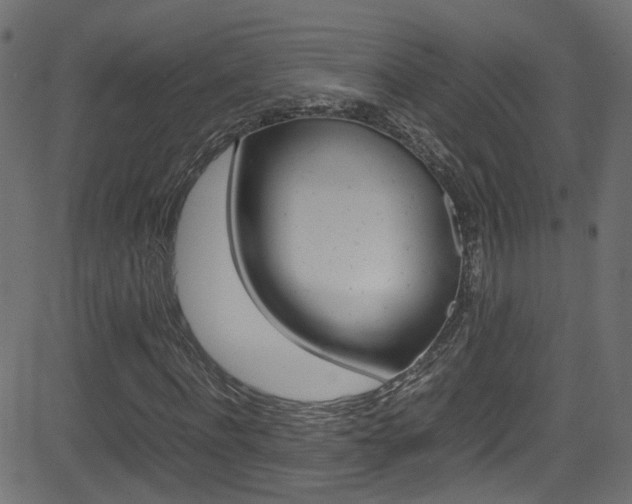 X0000081590916200701151022