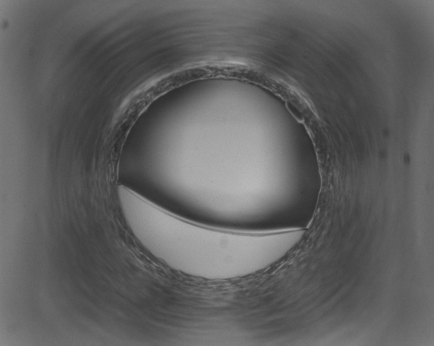 X0000081590920200701151022