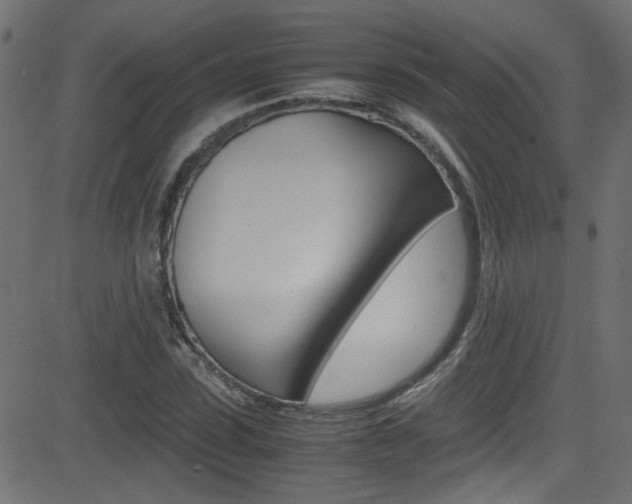 X0000081590923200701151022