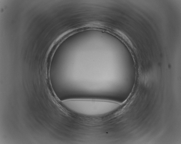 X0000081590931200701151022