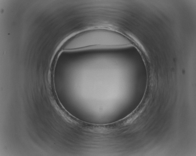 X0000081590932200701151022