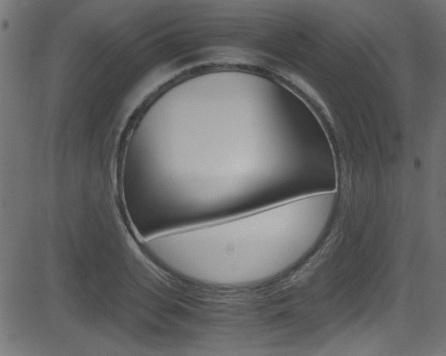 X0000081590935200701151022