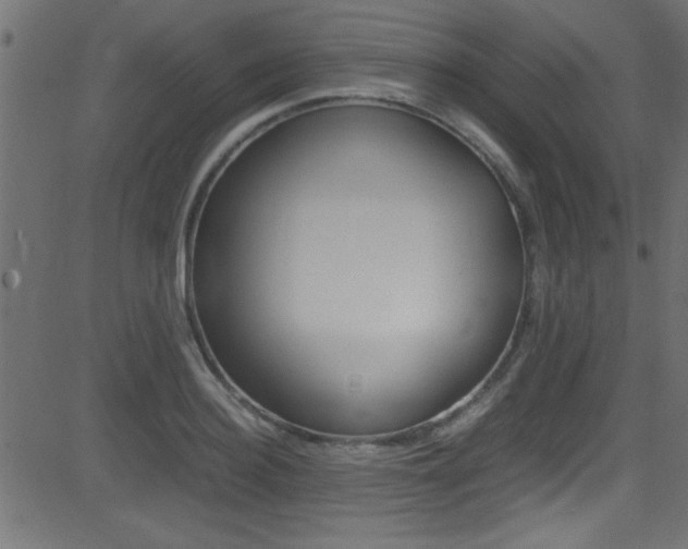 X0000081590940200701151022