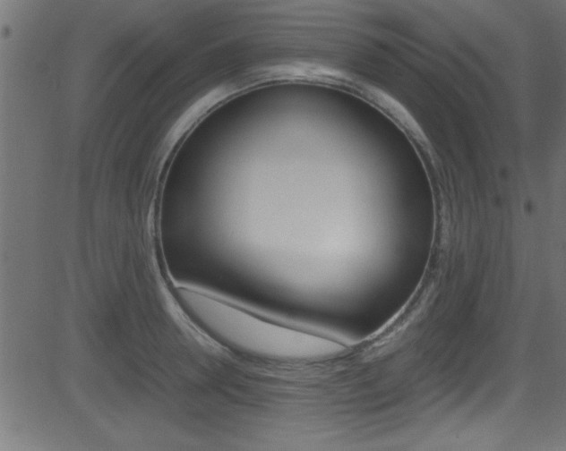 X0000081590946200701151022