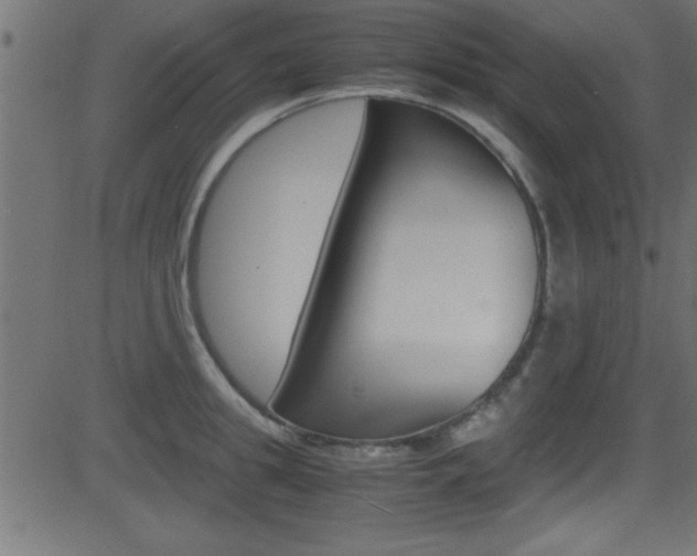X0000081590949200701151022