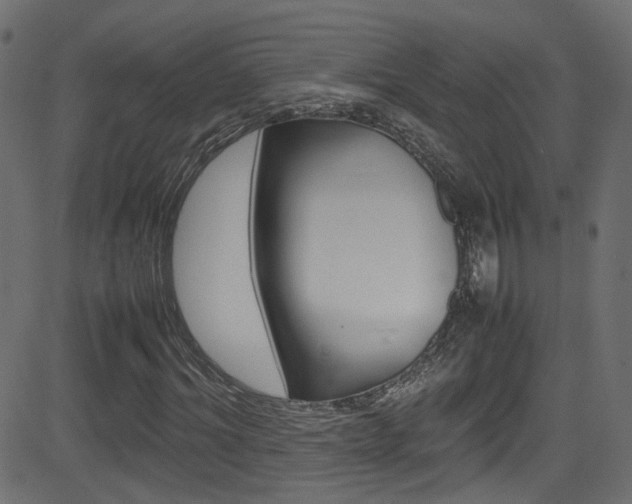 X0000081590964200701151022