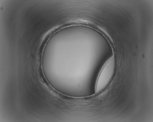 X0000081590979200701151022