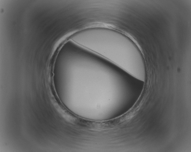 X0000081590987200701151021