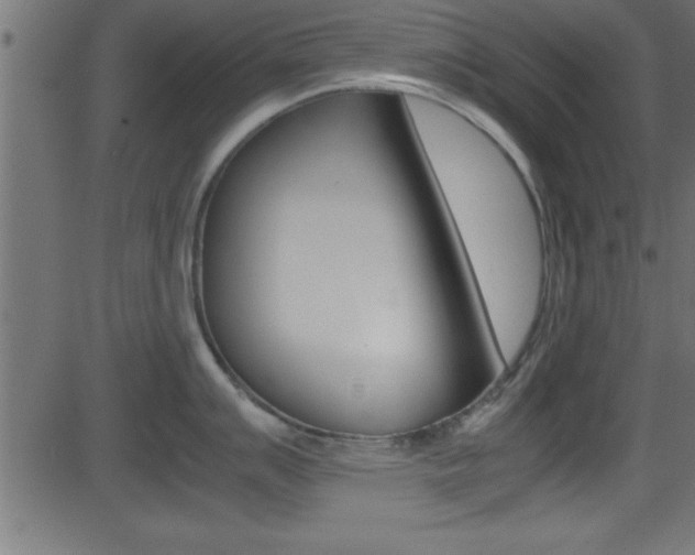 X0000081591007200701151021