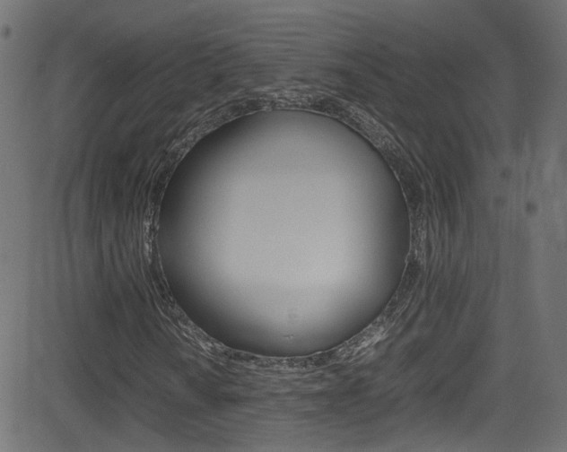 X0000081591010200701151020