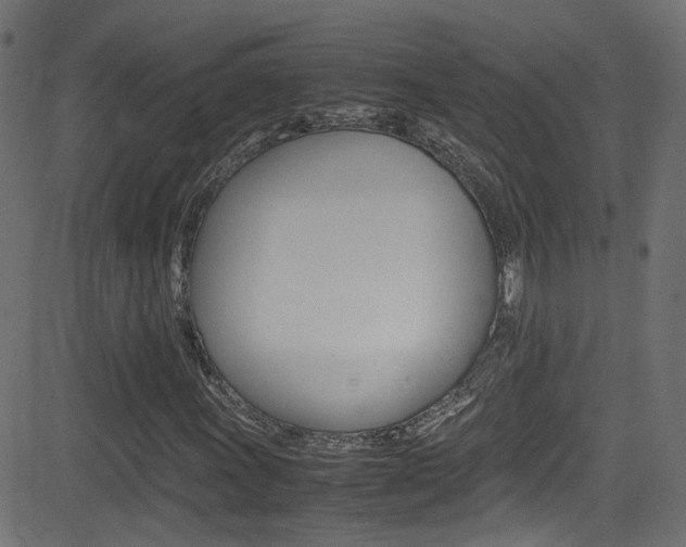 X0000081591011200701151020