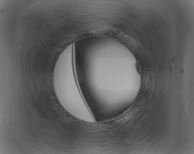 X0000081591012200701151020