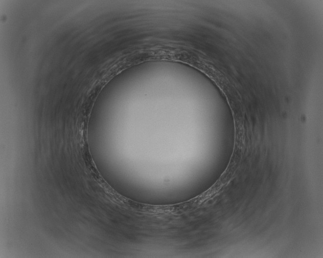 X0000081591013200701151020