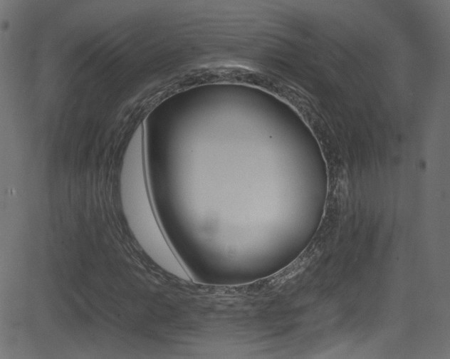X0000081591014200701151020