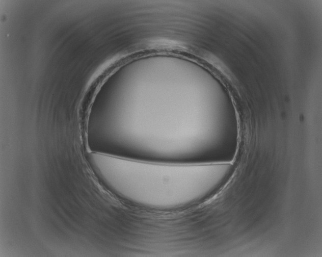 X0000081591022200701151020