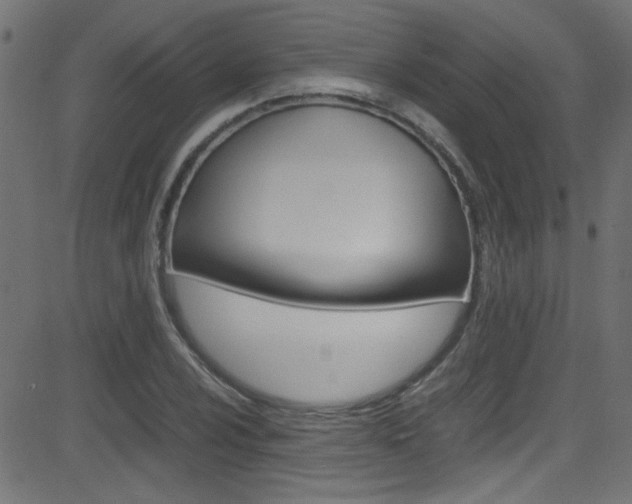 X0000081591024200701151020
