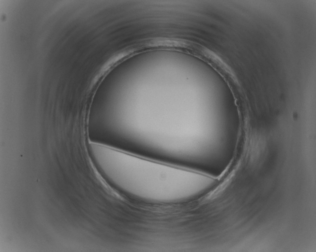 X0000081591033200701151021