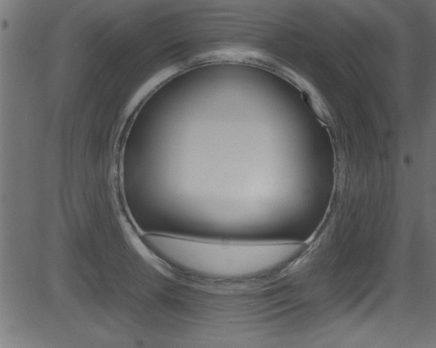 X0000081591042200701151021