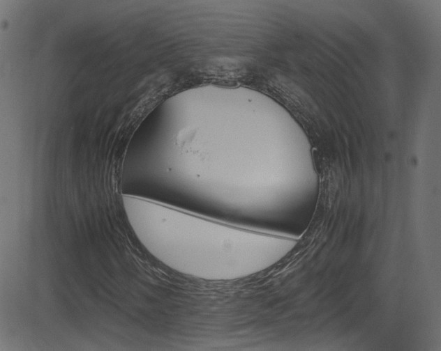 X0000081591058200701151020