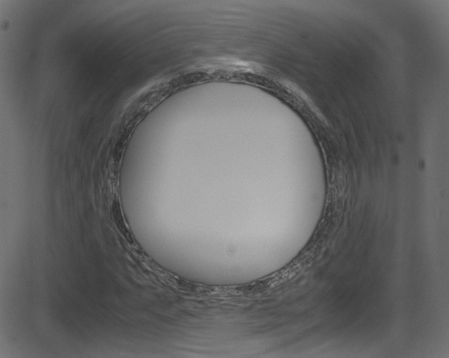 X0000081591063200701151020
