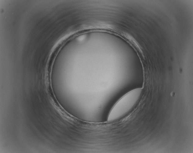 X0000081591072200701151020