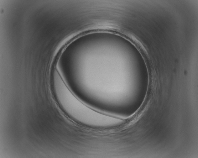 X0000081591077200701151020