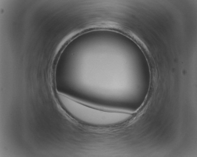 X0000081591085200701151020