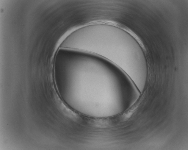 X0000081591102200701151019