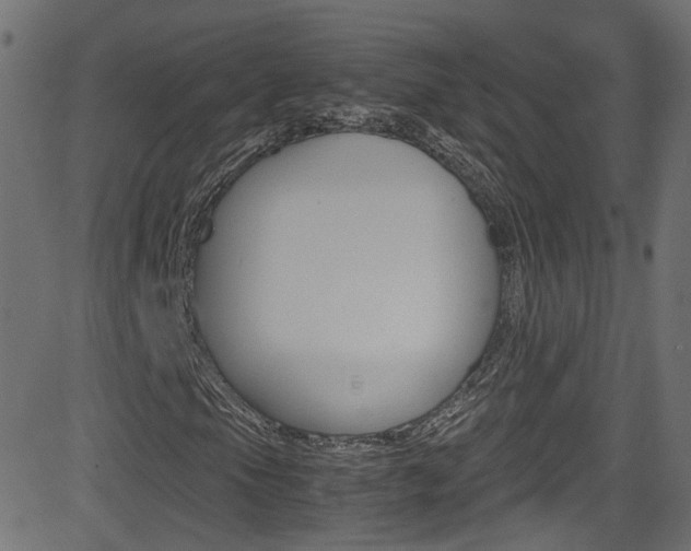 X0000081591105200701151019