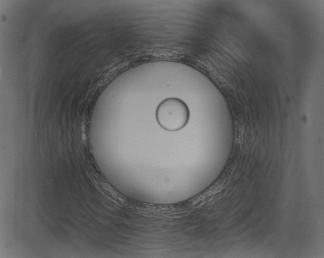 X0000081591106200701151019