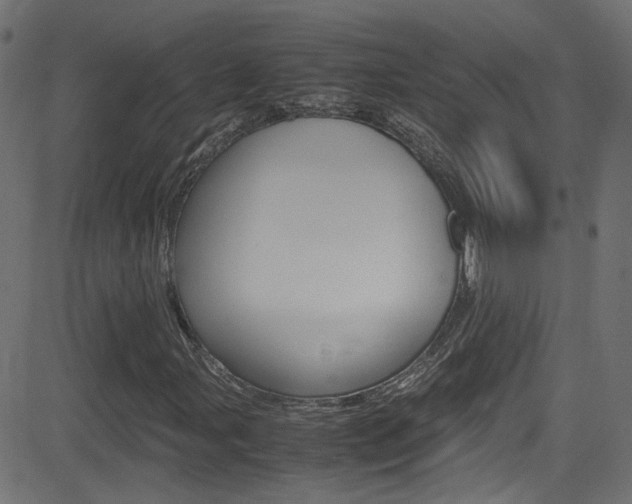 X0000081591107200701151019
