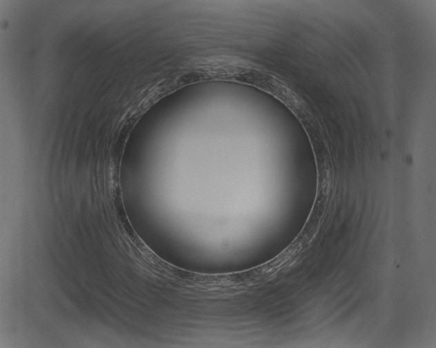 X0000081591108200701151019