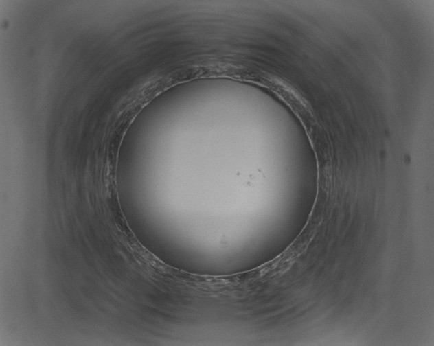X0000081591111200701151019