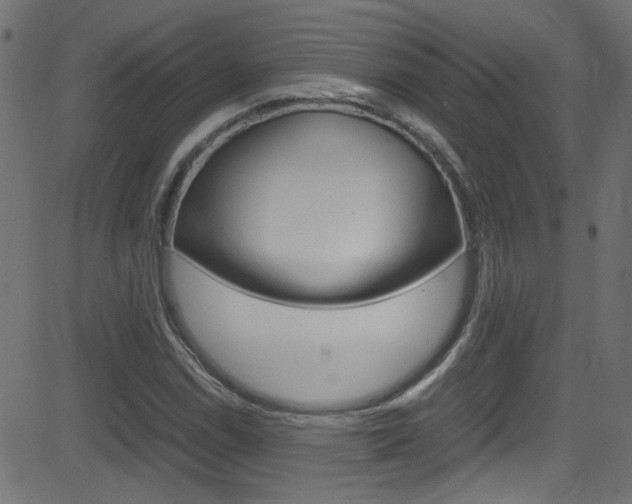 X0000081591114200701151019
