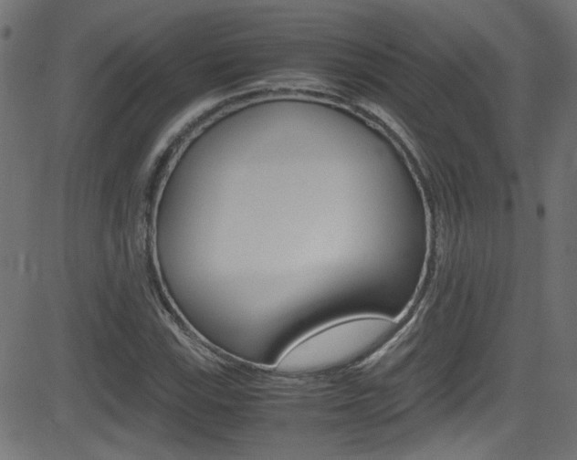 X0000081591115200701151019