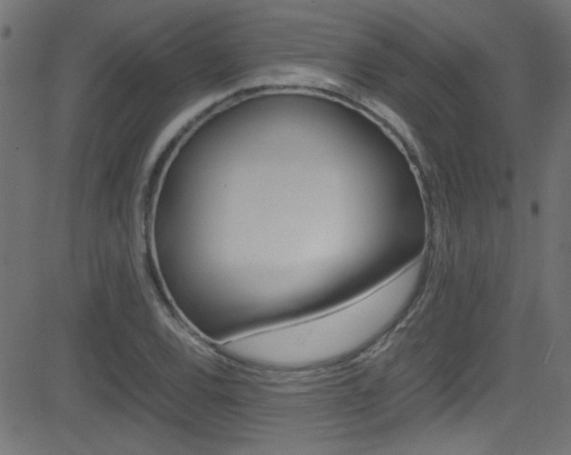 X0000081591120200701151019