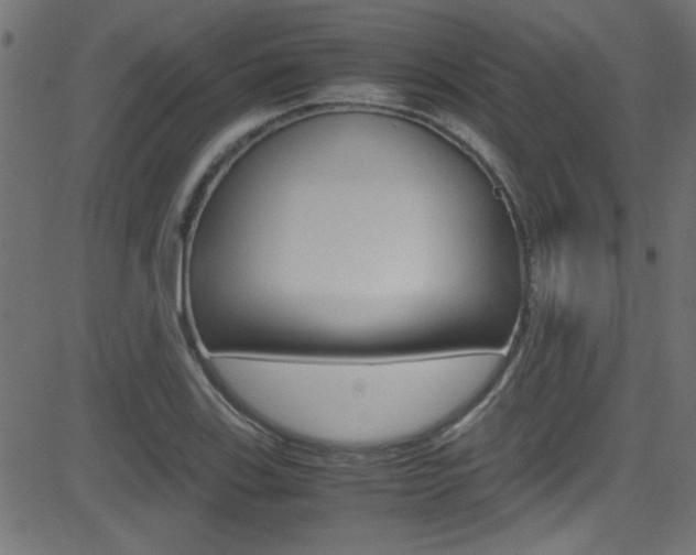 X0000081591123200701151019