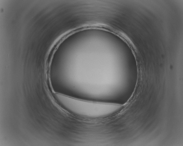 X0000081591124200701151019