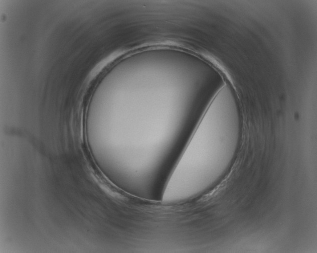 X0000081591127200701151019