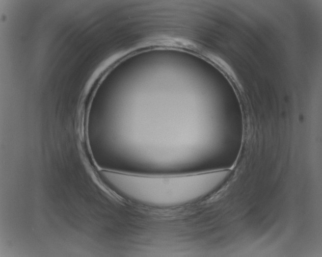 X0000081591128200701151019
