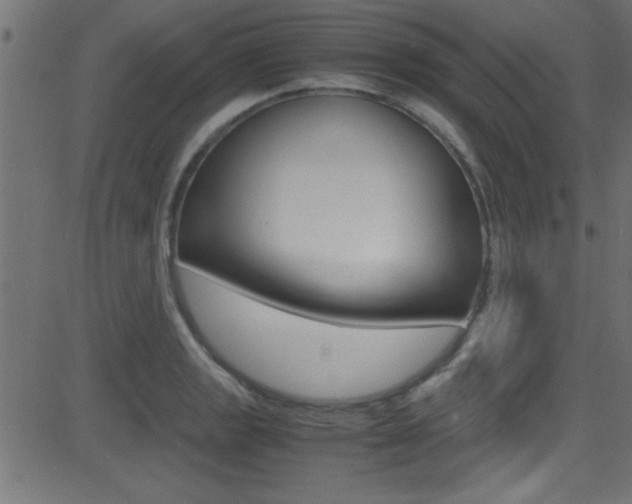 X0000081591133200701151019