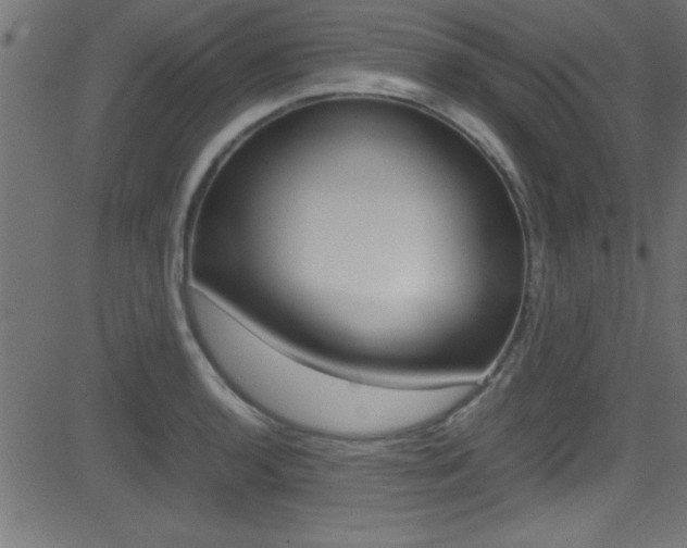 X0000081591136200701151019